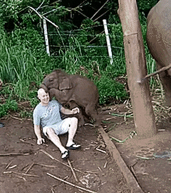 1d05fe53bad199dcbf0e8d1a1febf0fa_542257.gif