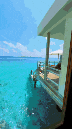 Hwsc1624785694_1207548661.gif