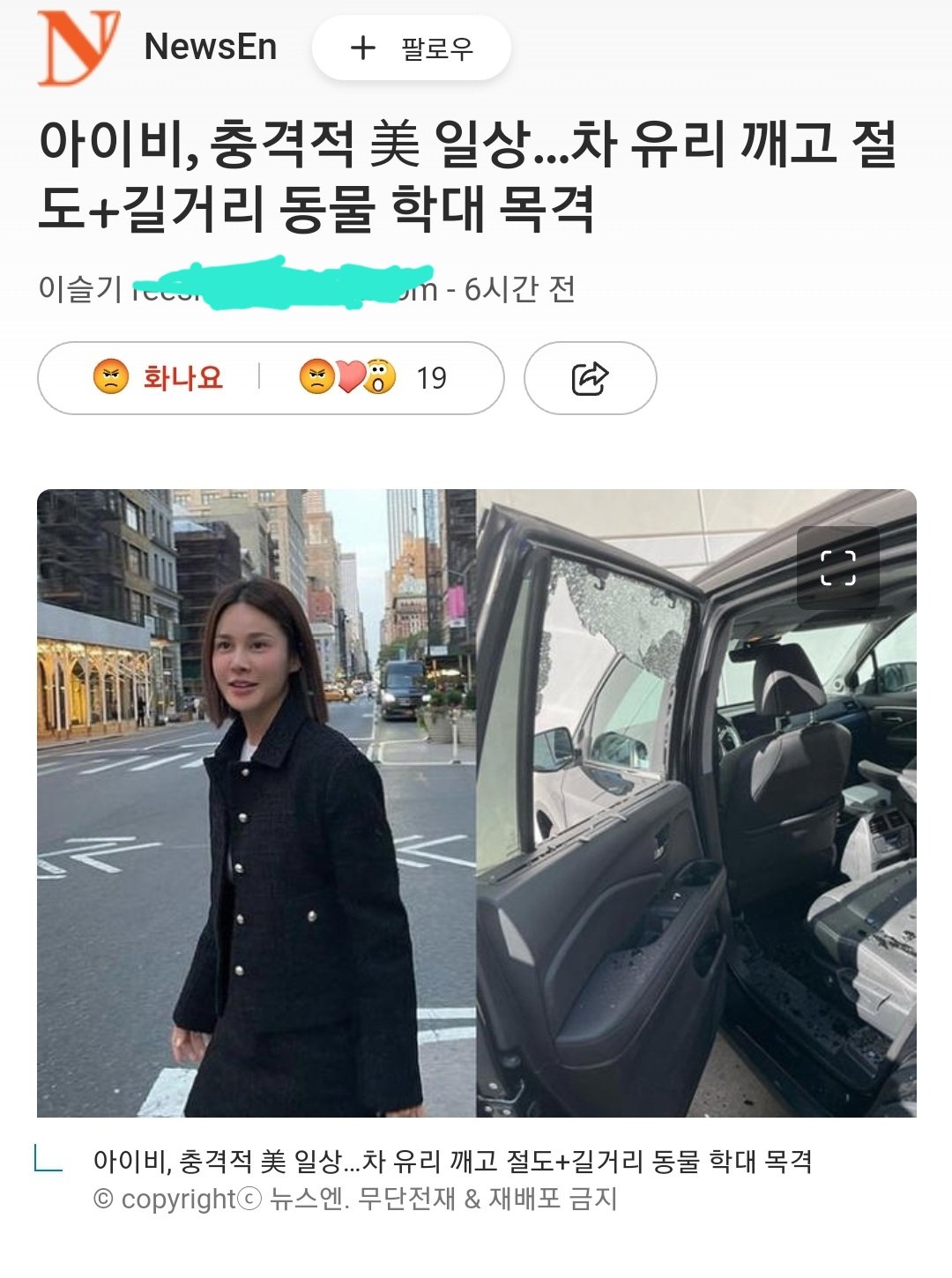 [유머] 아이비, 차 유리 깨고 절도 + 길거리 동물 학대 -  와이드섬