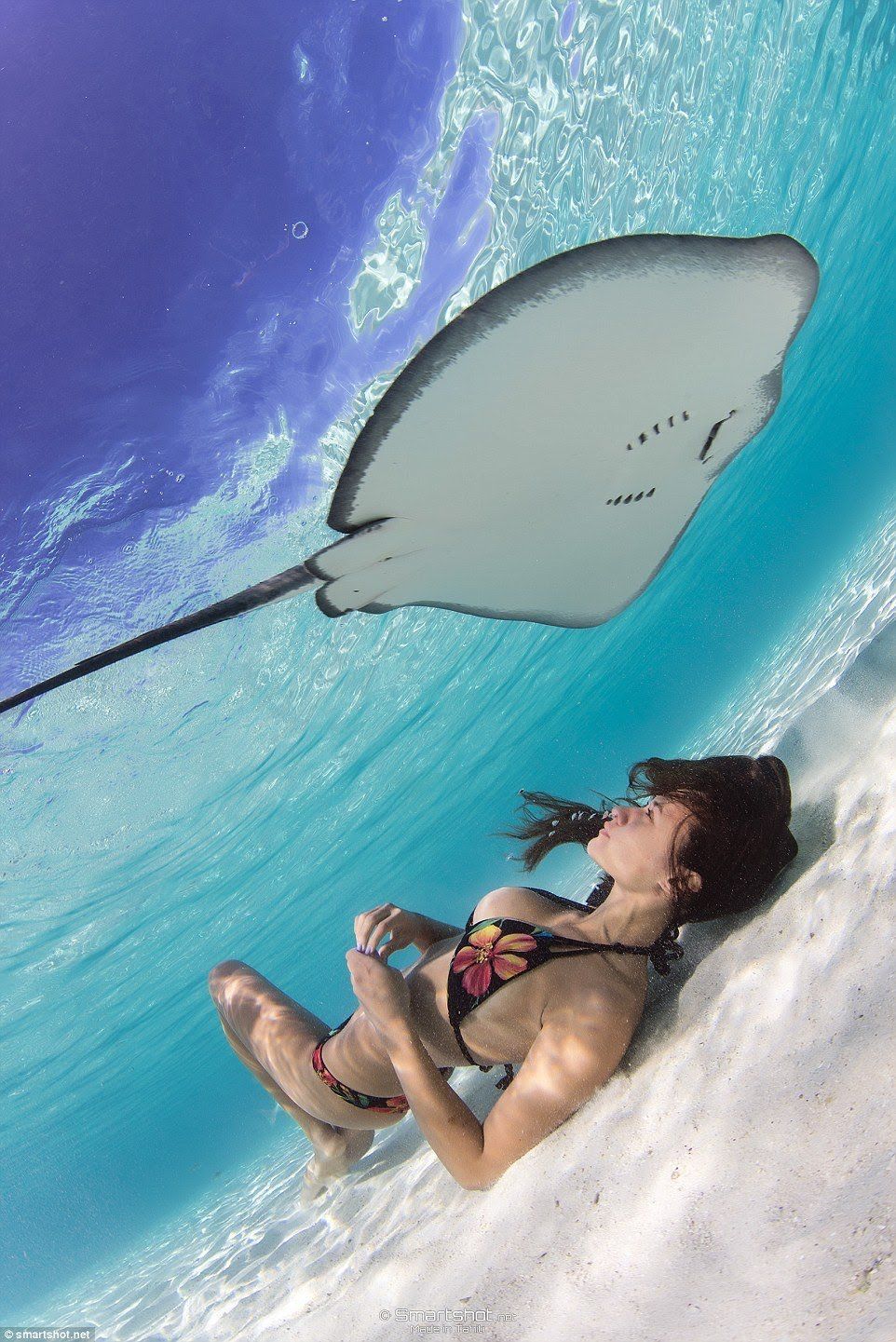 [유머] 가오리입니다 -  와이드섬