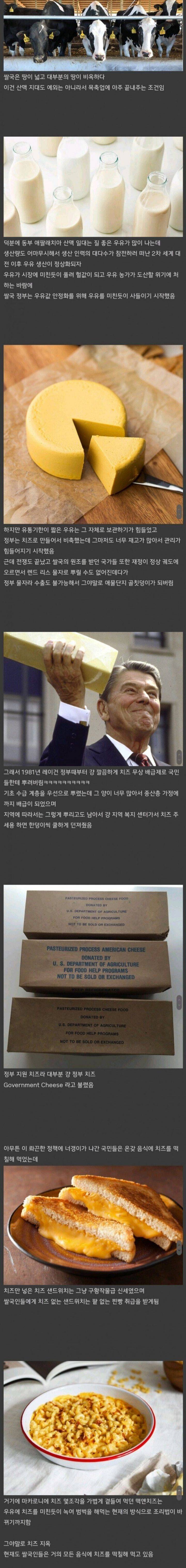 [유머] 미국의 구황 식품 -  와이드섬