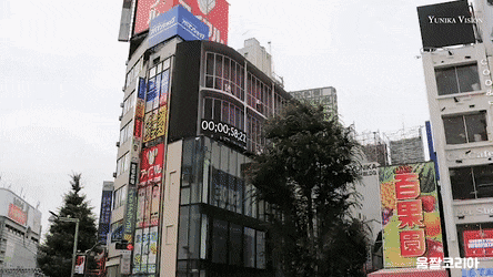 [유머] [기타]
		          신주쿠 한복판에 거대 고양이 등장 -  와이드섬