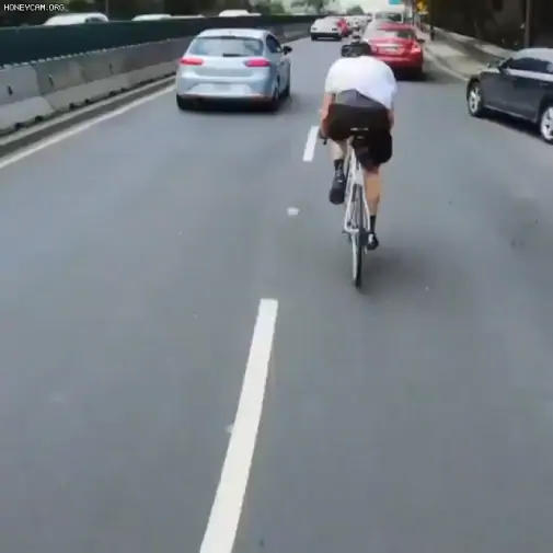 [유머] 이탈리아 자라니~? -  와이드섬