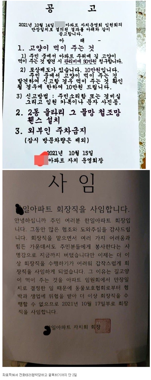 [유머] 2일만에 사임 -  와이드섬