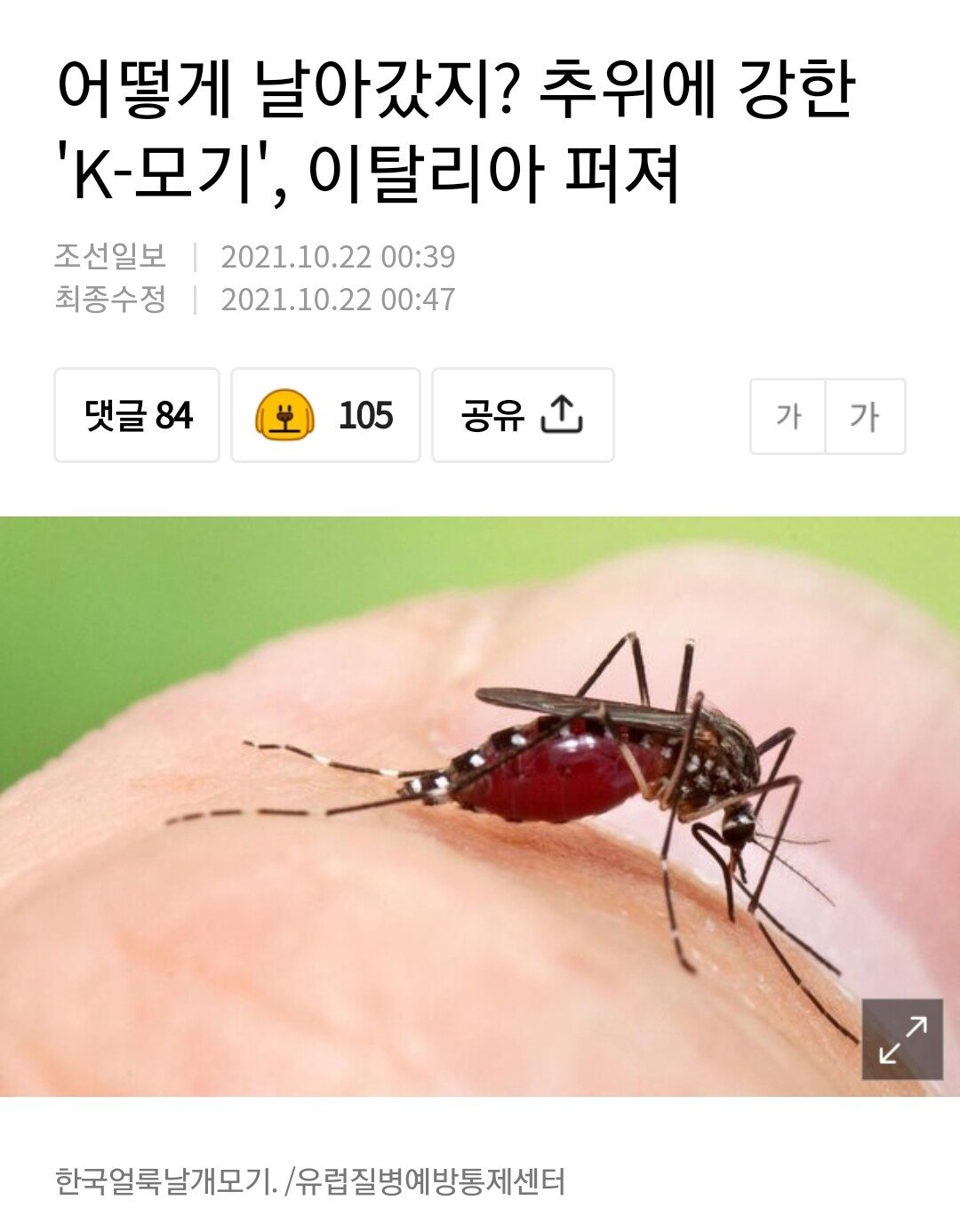 [유머] 아디다스 모기가 왜 거기에? -  와이드섬