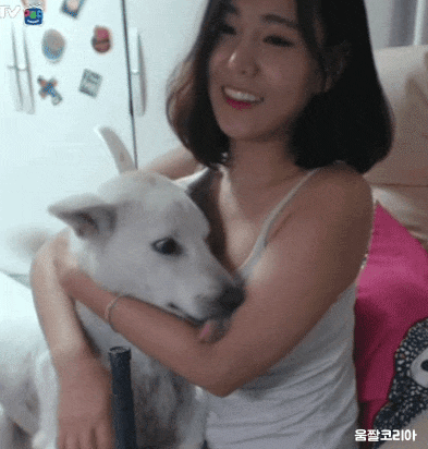 [유머] 개팔자가 색팔자 -  와이드섬